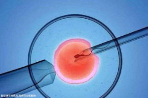 苏主任医师
